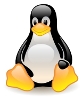 Redhat Linux Hosting